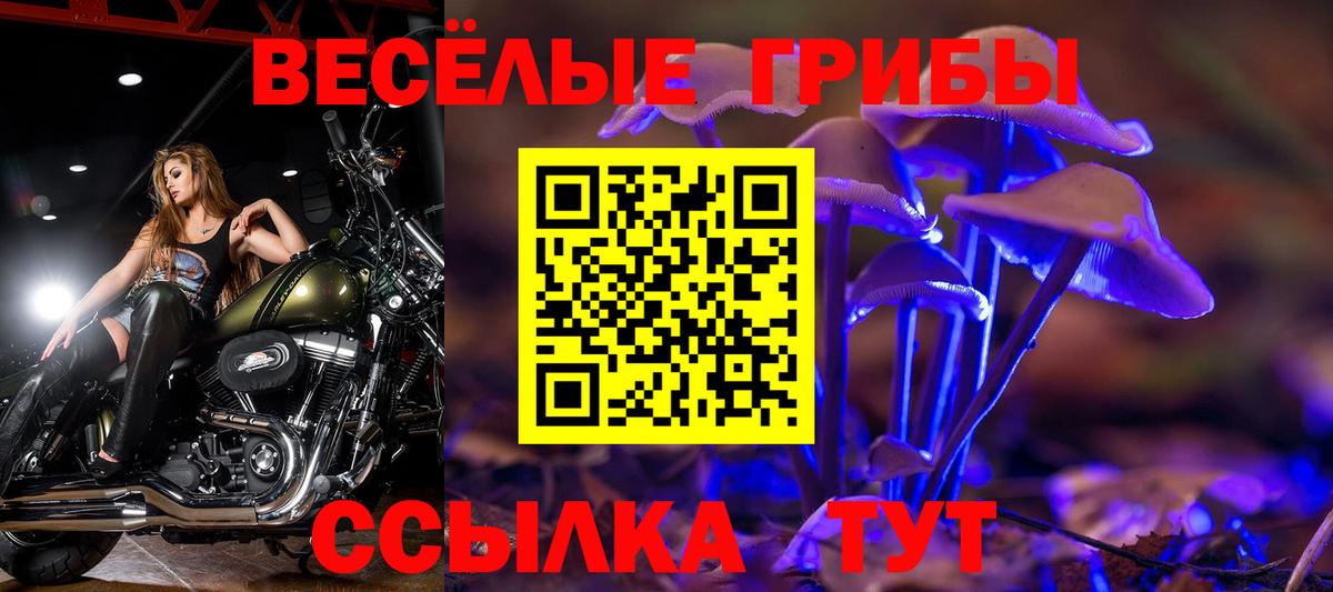 Псилоцибиновые грибы Psilocybe  Вход с VPN  Усолье-Сибирское  Псилоцибиновые грибы ЛСД 